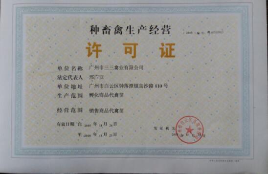 榮譽證書04 榮譽證書04